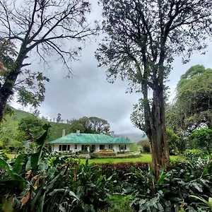 Gartmore Estate , Maskeliya Sri Lanka